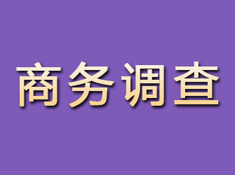 松江商务调查